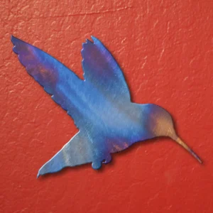 HummingBird Magnet