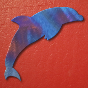 Dolphin Magnet
