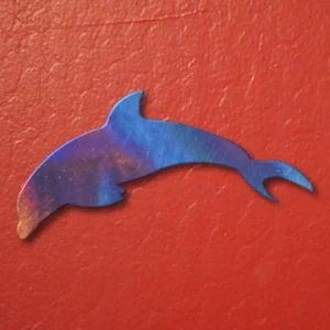 Dolphin Magnet