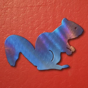 Squirrel Magnet