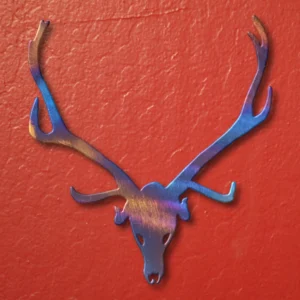 Elk Skull Magnet