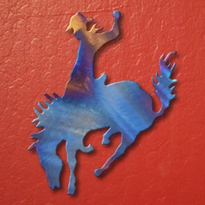 Bronco Magnet