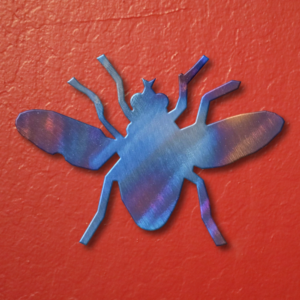 Fly Magnet
