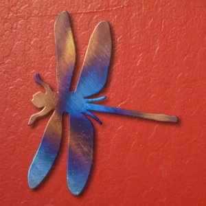 DragonFly Magnet