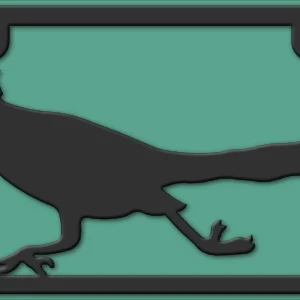 Road Runnner License Plate
